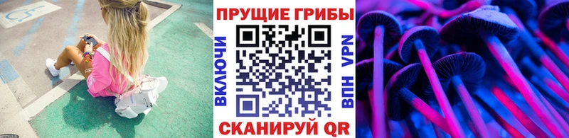 Купить  Таруса  Галлюциногенные грибы мухоморы 